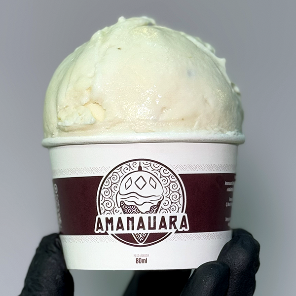 Sorvete Amanauara sabor BACURI